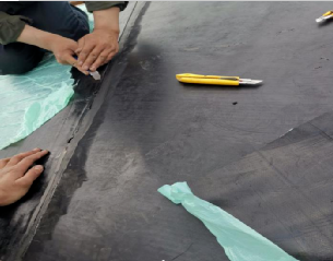 图片关键词 图片关键词